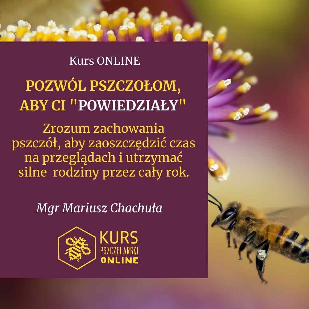 "Pozwól pszczołom, aby Ci powiedziały- zrozum zachowanie pszczół, aby zaoszczędzić czas na przeglądach i... mgr Mariusz Chachuła