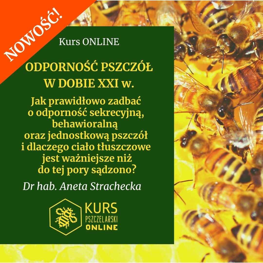 „Odporność pszczół w dobie XXI w. Jak prawidłowo..." dr hab. Aneta Strachecka