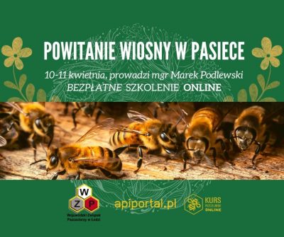 Powitanie WIosnY w pasiecefbn Powitanie Wiosny w pasiece